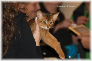 06.12.2014 - Ausstellung Plauen